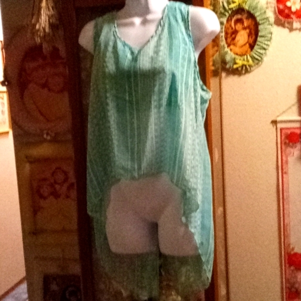 Teal & White Sheer See-Through Hi-Lo Sleeveless Blouse with Cool Long Split Tail